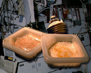Space Shuttle Rehydratable Food