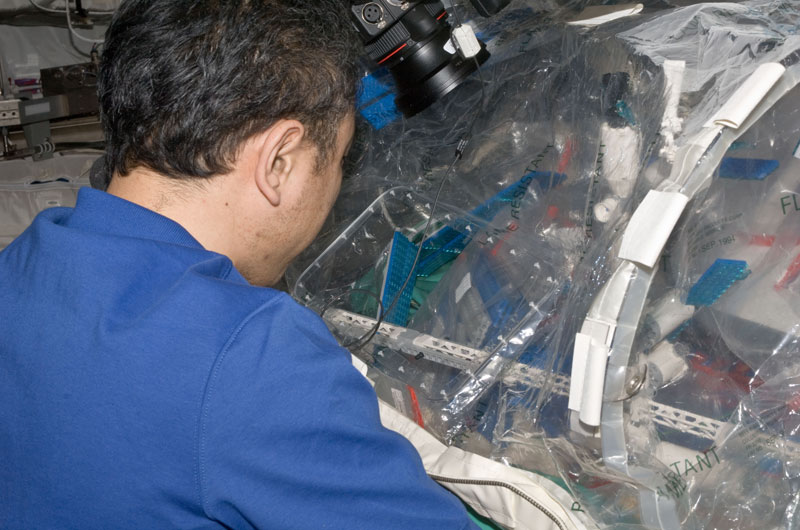 JAXA astronaut Satoshi Furukawa builds LEGO International Space Station