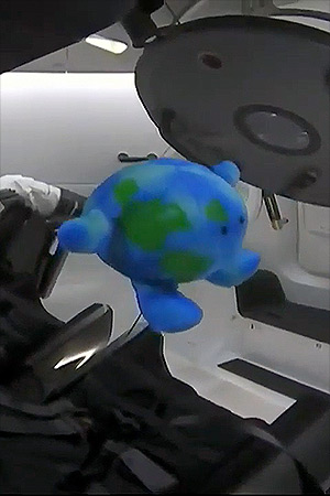 earth plush spacex