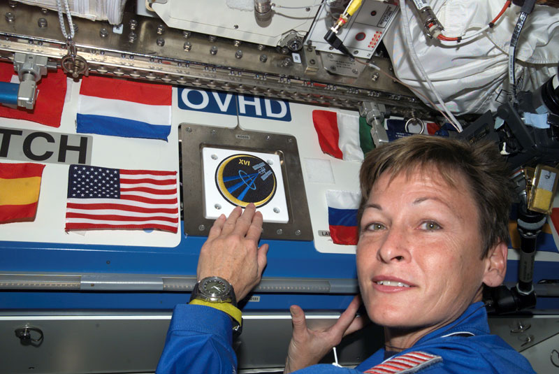 A decade in the lives of the International Space Station