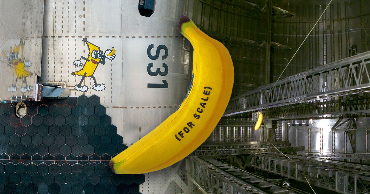 It's bananas': Toy fruit becomes first zero-g indicator to fly on