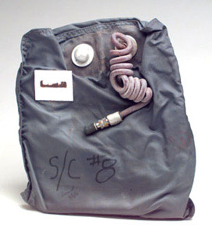 Gemini 8 Water Bag
