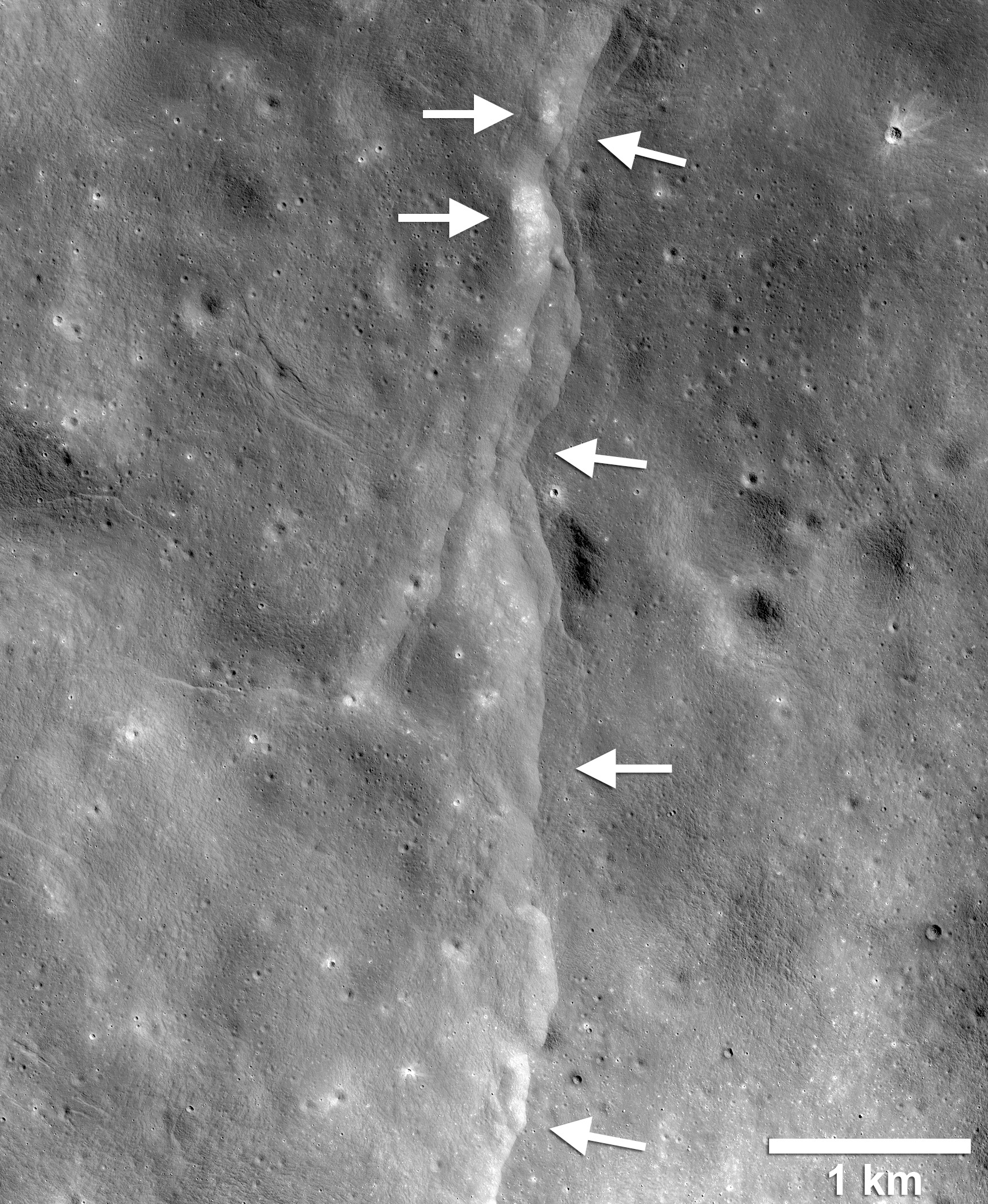 The Spread Of The Isla Moon Video: Analysis - d1dipty