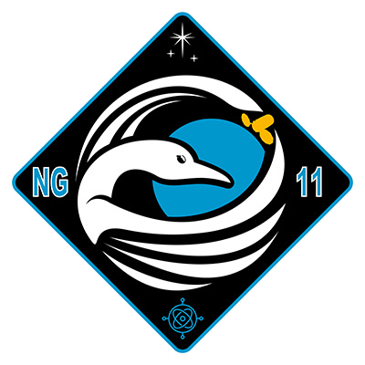 NEW NG-10 Northrop Grumman Cygnus NASA COMMERCIAL ISS RESUPPLY AB Emblem PATCH 