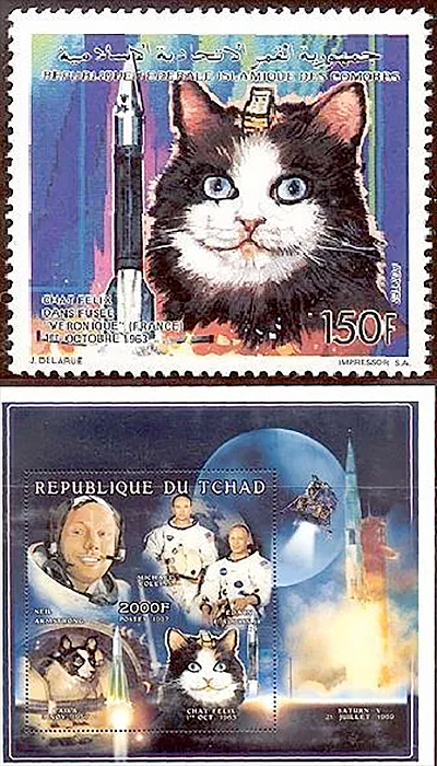 Félicette the French space cat, the world's only feline astronaut