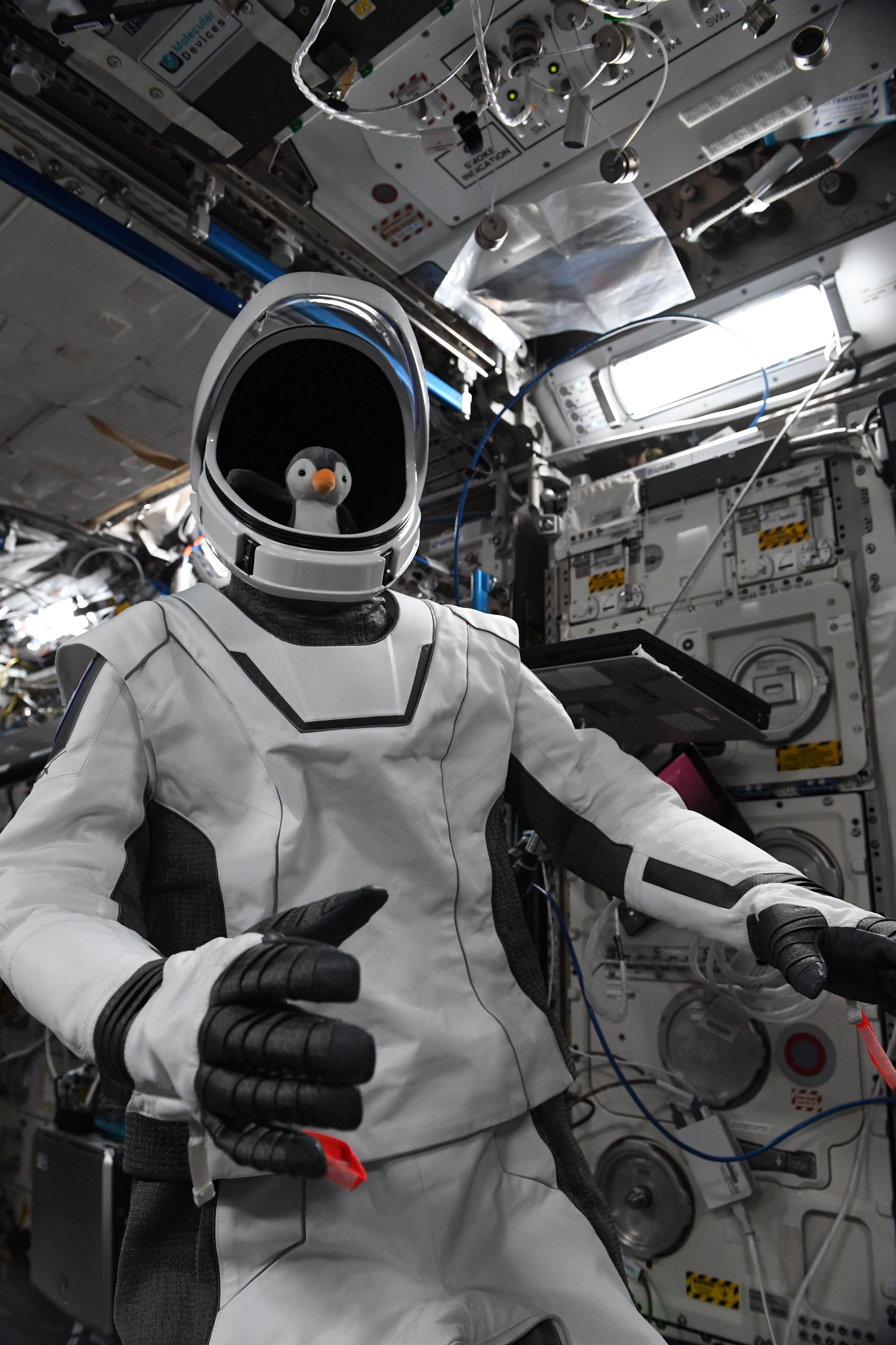 SpaceX Crew-2 zero-g indicator: GuinGuin - collectSPACE: Messages