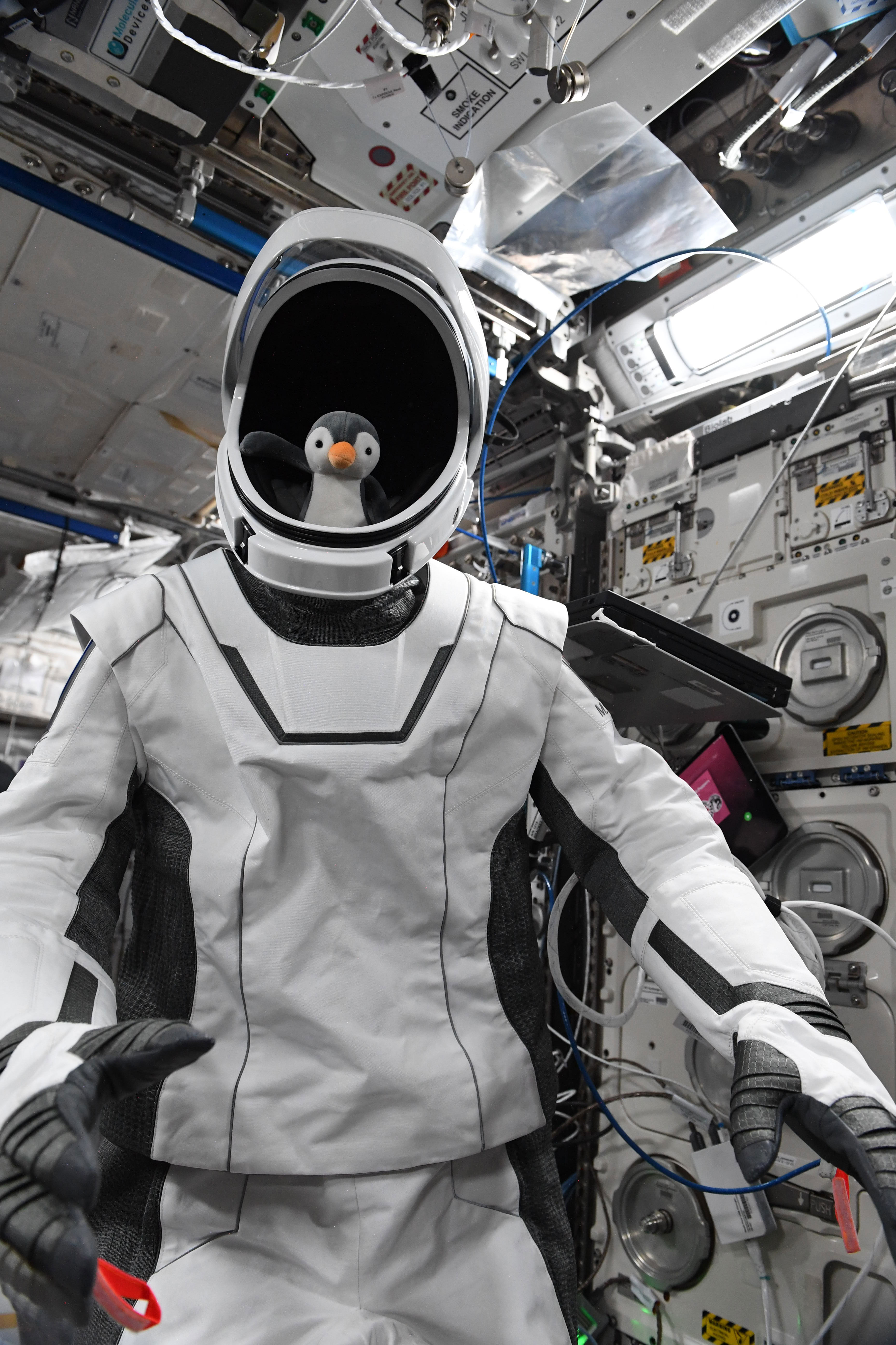 SpaceX Crew-2 zero-g indicator: GuinGuin - collectSPACE: Messages