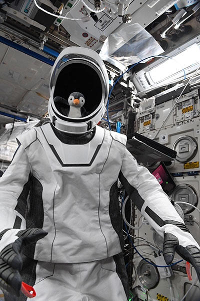 SpaceX Crew-2 zero-g indicator: GuinGuin - collectSPACE: Messages