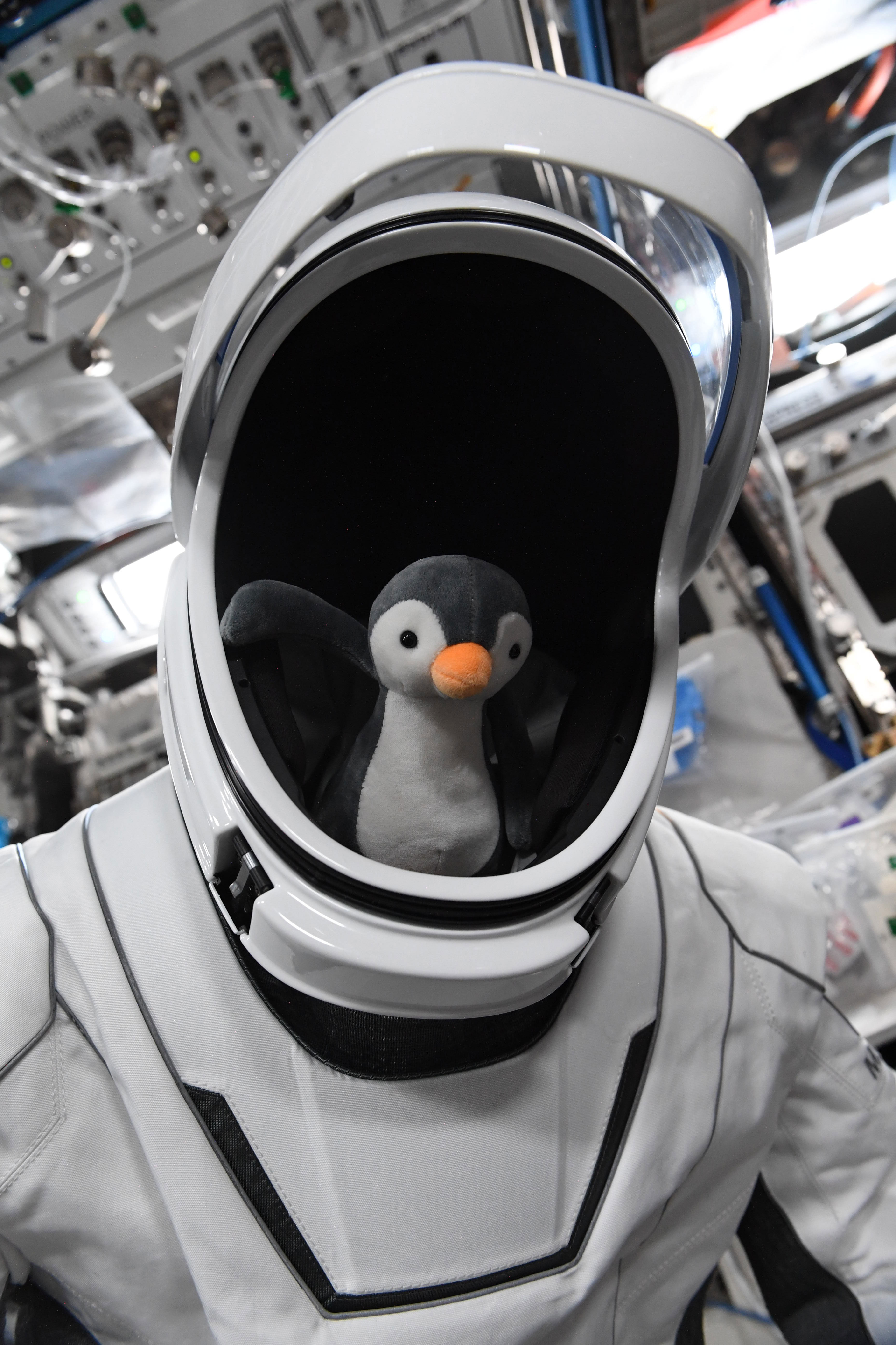 SpaceX Crew-2 zero-g indicator: GuinGuin - collectSPACE: Messages